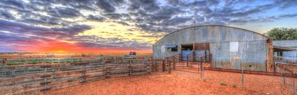 Bucklow Station - Woolshed - NSW (PB5D 00 2694)